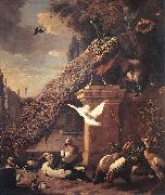 HONDECOETER, Melchior d Peacocks and Ducks sf oil painting